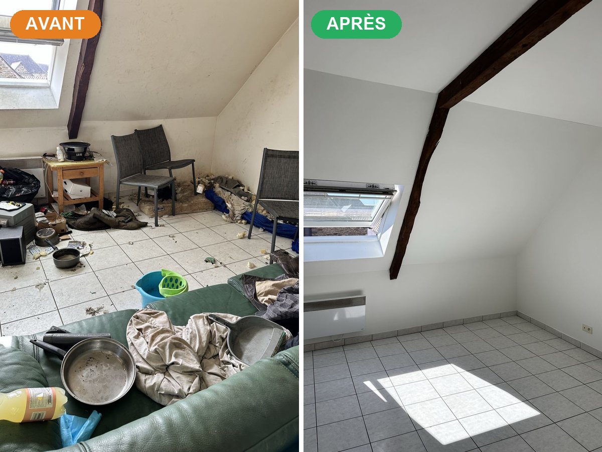 Pièce principale avant et après nettoyage Diogène par AM-PureZone