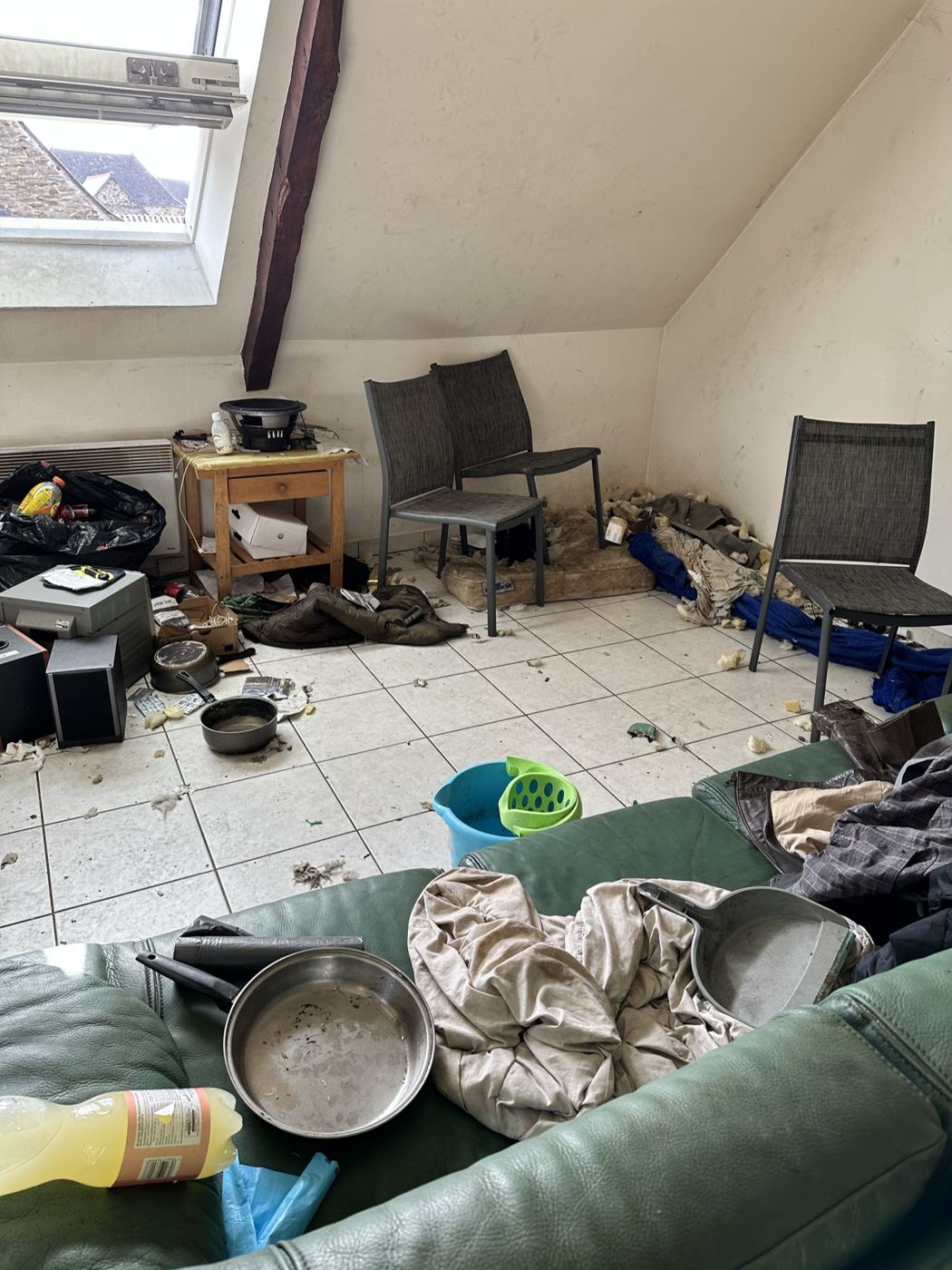 Pièce principale encombrée de déchets et de mobilier dégradé avant nettoyage Diogène