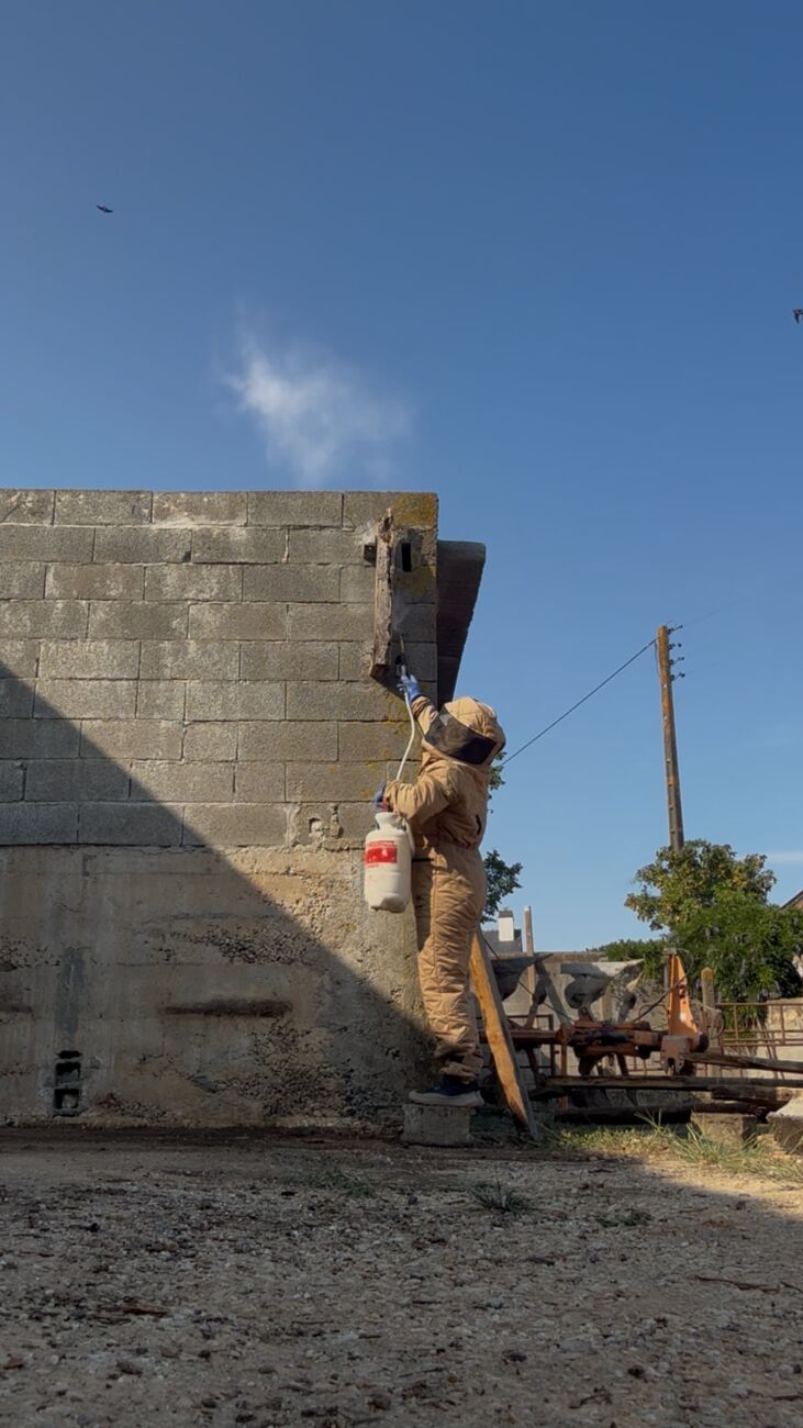 Technicien AM-PureZone en combinaison intégrale détruisant à la perche télescopique un nid de frelons sous l'avancée de toit d'un bâtiment agricole à Avessac