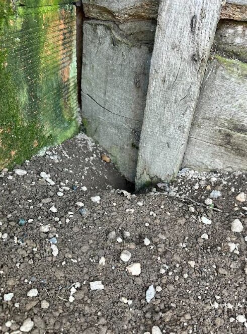 Galerie de rat au pied d'un poteau le long d'un mur, point d'entrée repéré par AM-PureZone